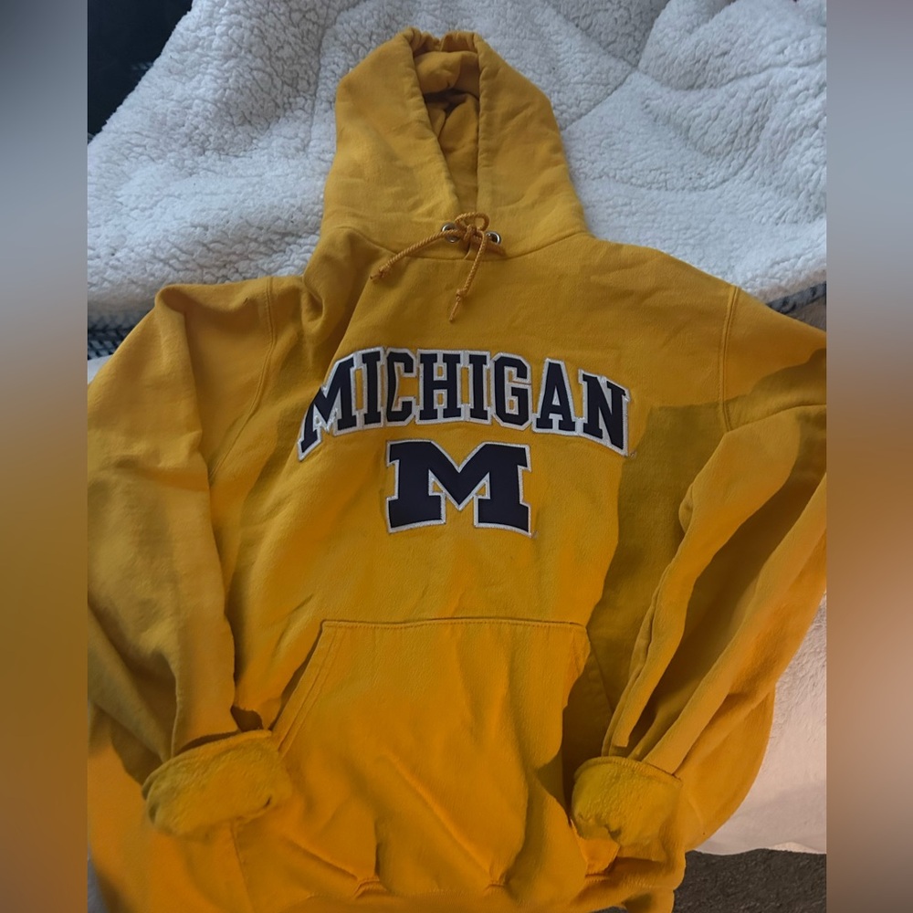 Champion Michigan hoodie